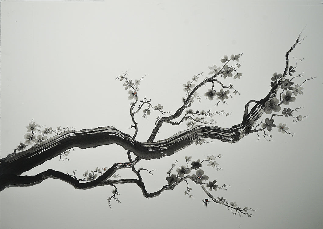 Peinture à l'encre de Chine: Branche de cerisier 11